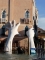 Venedig 2017(177)