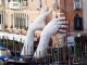 Venedig 2017(83)