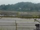 Vietnamrundreise