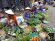 Vietnamrundreise