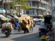 Vietnamrundreise