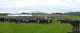 ARF2016189