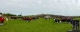 ARF2016235