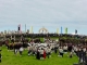 ARF2016237