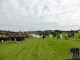 ARF2016241