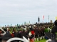 ARF2016250