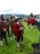 ARF2016262