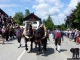 ARF2016373