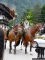 Alpenregionstreffen2018inMayrhofen154