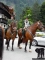 Alpenregionstreffen2018inMayrhofen155