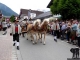 Alpenregionstreffen2018inMayrhofen408