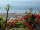 nettes kleines Hotel