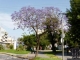 Kalamata