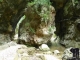 Lefkas 2019