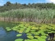 20190809_144402
