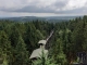 Baumwipfelweg Kopfing