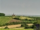Poysdorf 