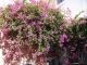 Kreta
