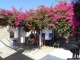 Kreta