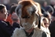 Fasching