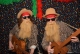 Fasching