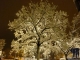 Silvesterpfad