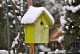Winterschlaf