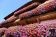 Alpbach