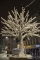 Christkindlmarkt