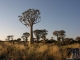 Südliches Afrika