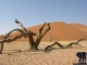 Südliches Afrika