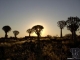 Südliches Afrika