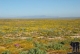 Südliches Afrika