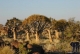 Südliches Afrika