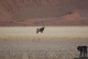 Südliches Afrika