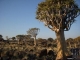 Südliches Afrika