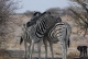 Südliches Afrika