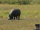 Südliches Afrika