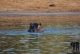 Südliches Afrika