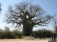 Südliches Afrika