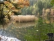 Herbst