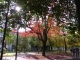Herbst