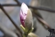 Frühling