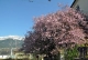 Frühling