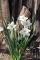 Frühling