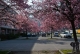 Frühling