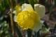 Frühling