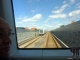 Kopenhagen100
