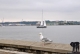 Kiel15