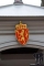 Oslo62